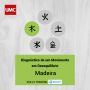 O Factor Constitucional - Diagnóstico de um Movimento em Desequilíbrio - Madeira